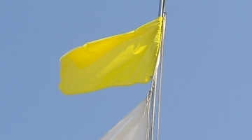 Bandera groga