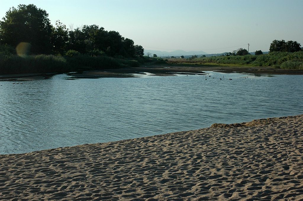 la tordera