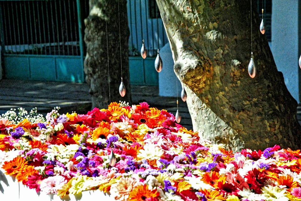 Pineda Mar de Flors