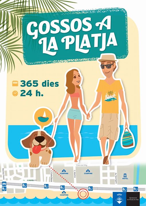 Gossos a la platja