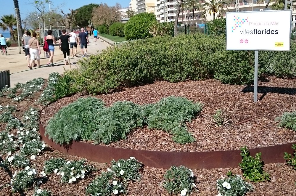 Jordi Masnou amb les Viles Florides Pineda de Mar