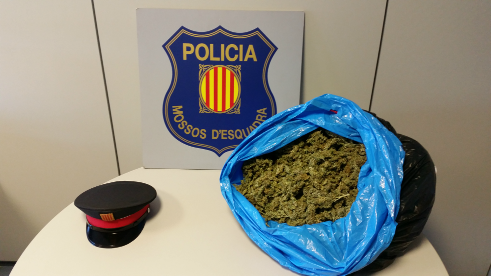 Mossos d'Esquadra