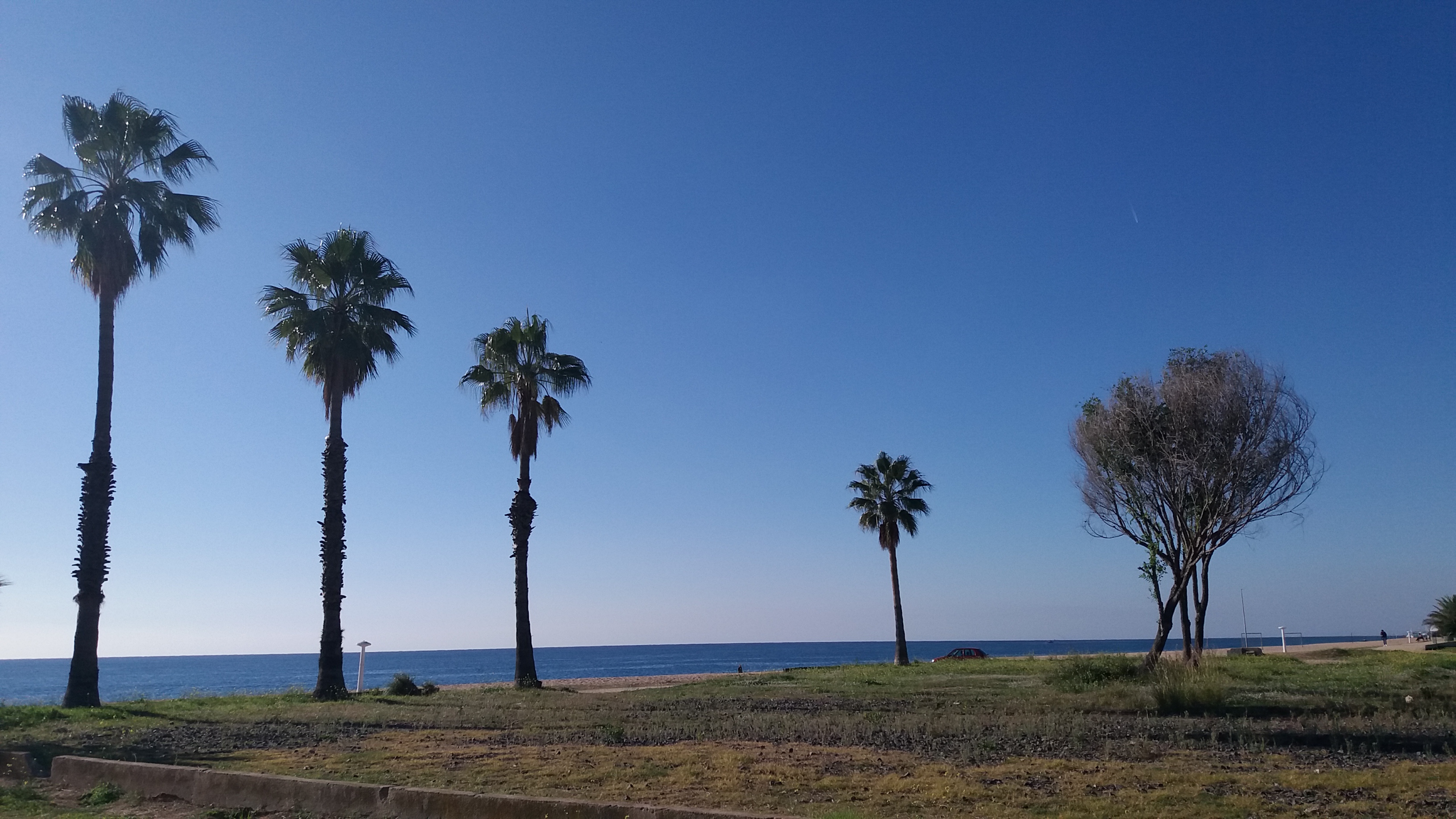 passeig a poblenou