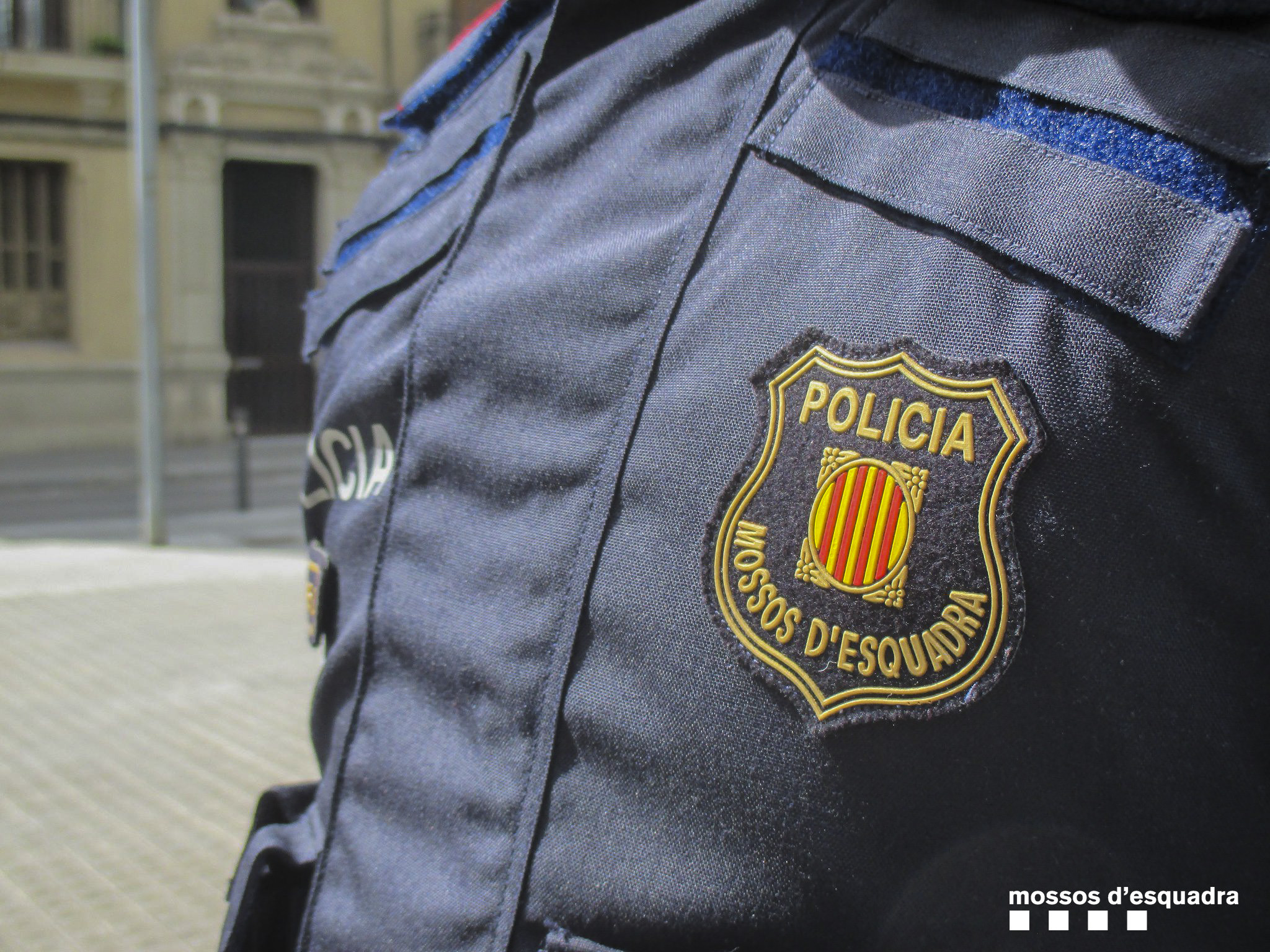 mossos pineda