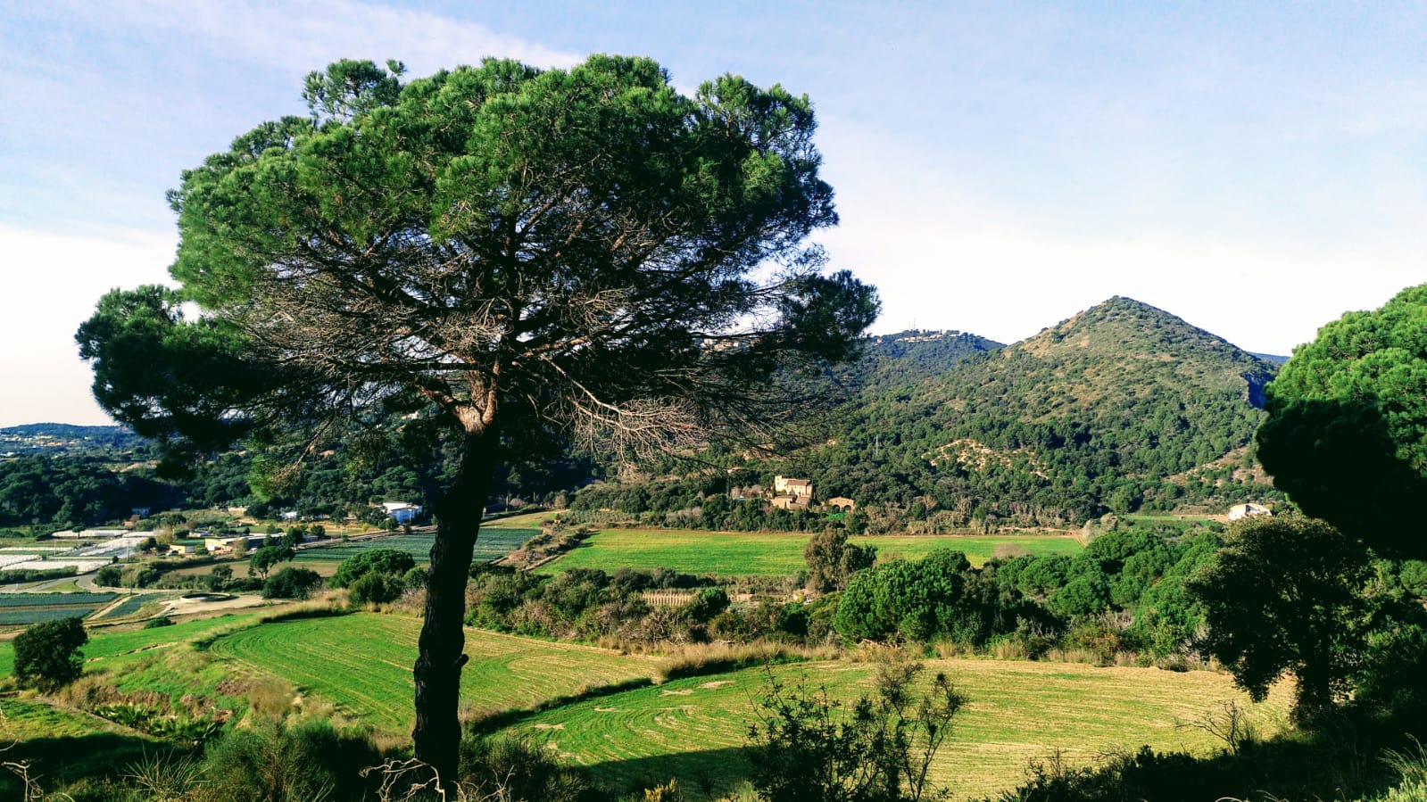 Turó de la Guàrdia