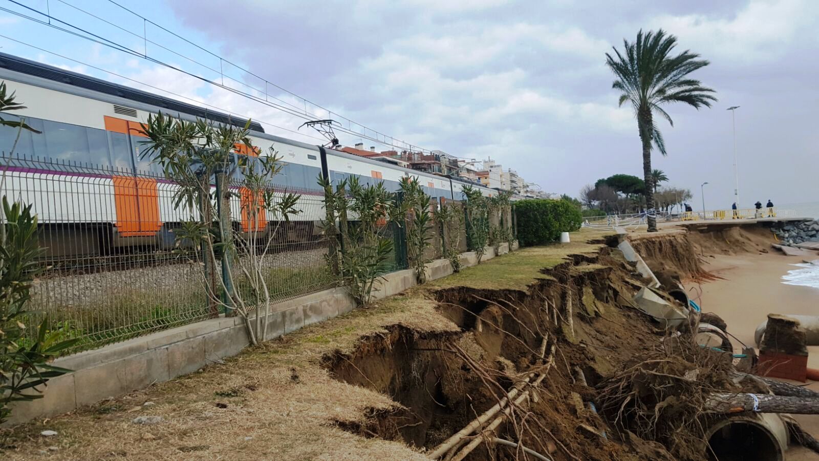 Destrosses al passeig de Mar