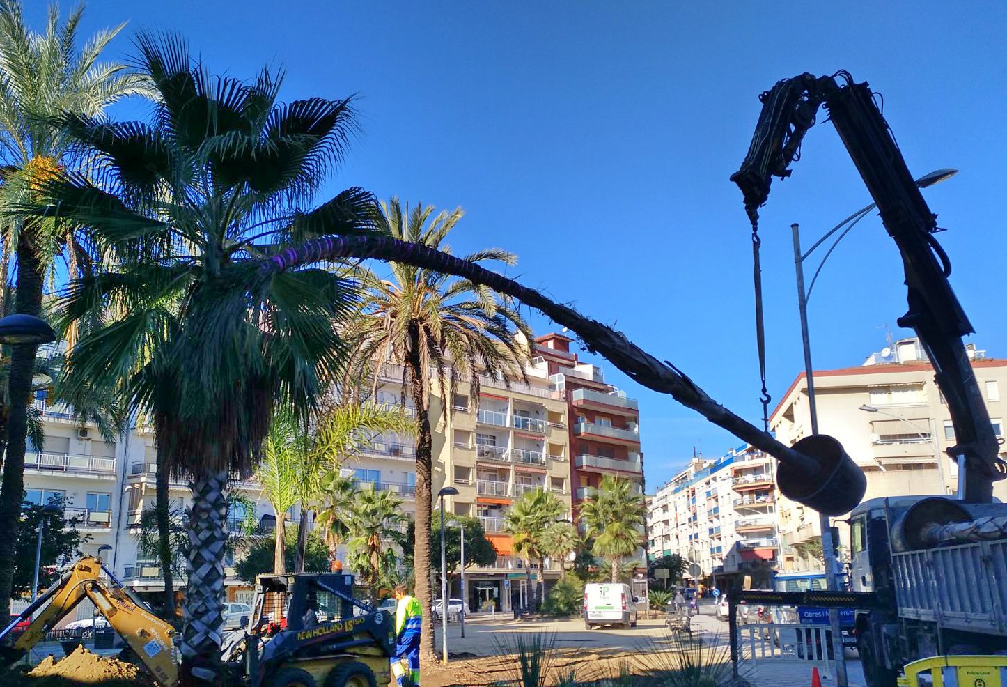 plaça palmeres de pineda