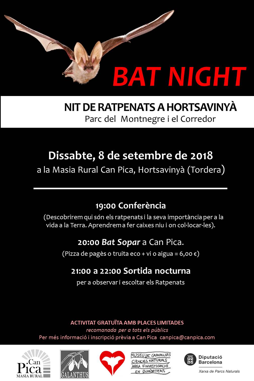 bat nitht