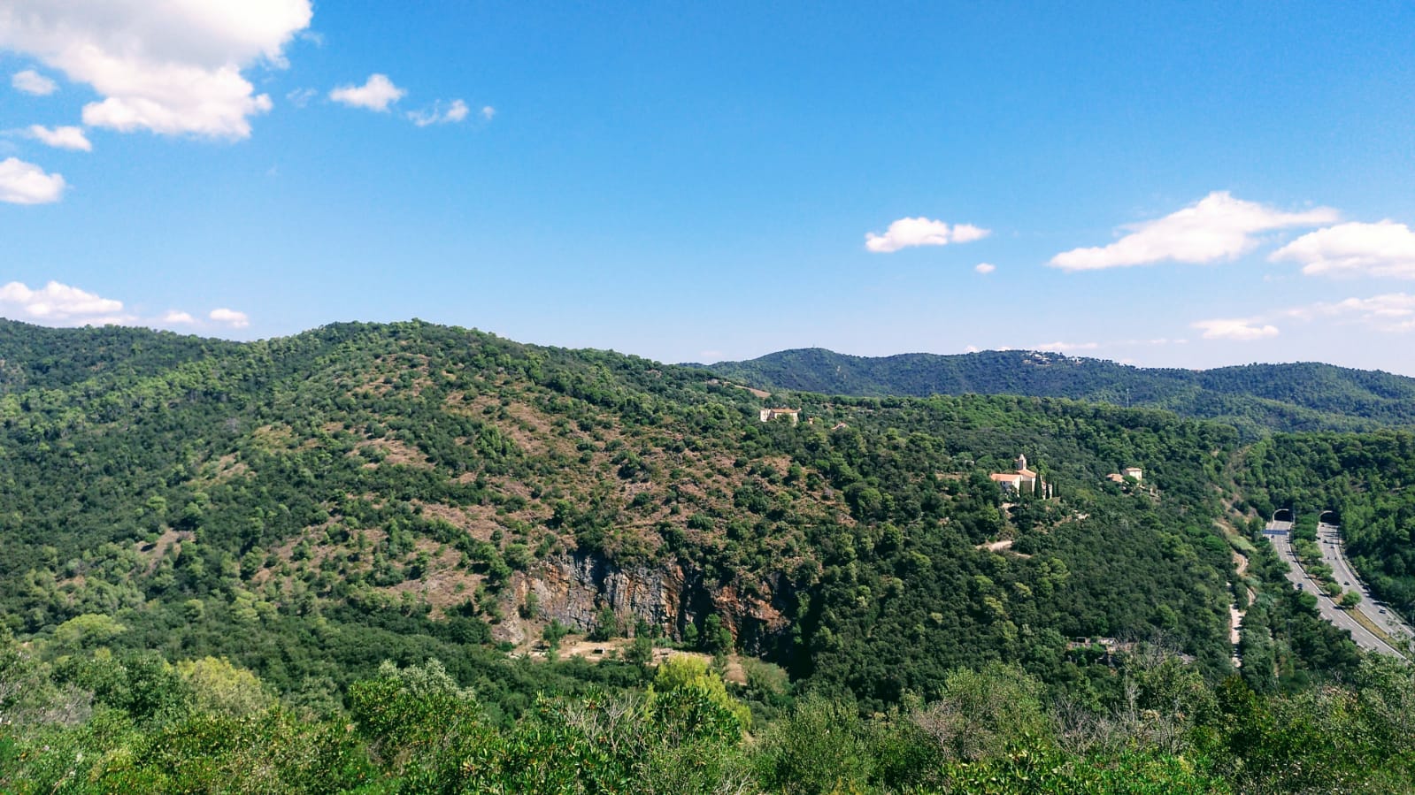 Bosc de Sant Pere de Riu