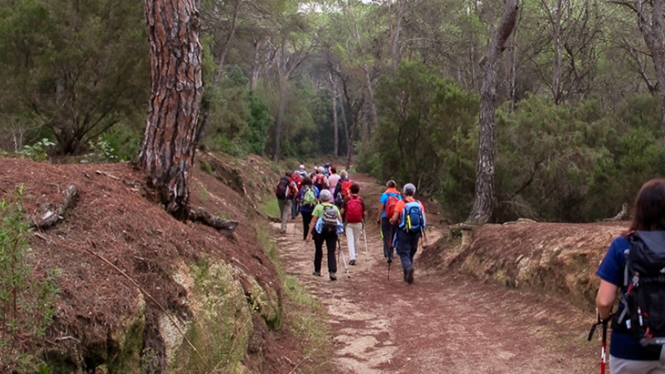 Sortida del CE Anem a Caminar