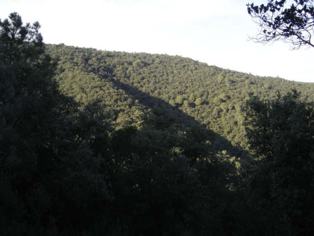 Montnegre