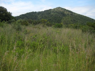 Turó de Montpalau