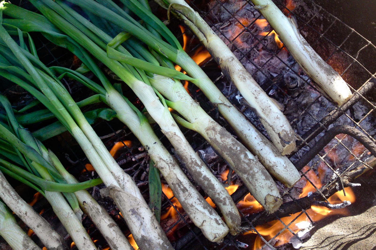 calçots