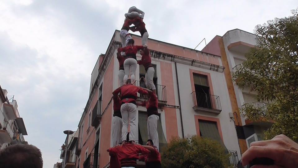 Maduixots a Blanes