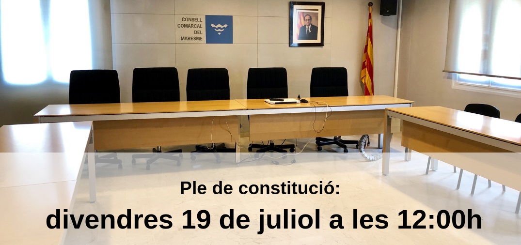 Consell Comarcal