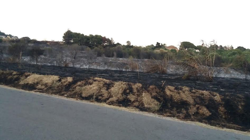 foc forestal a pineda