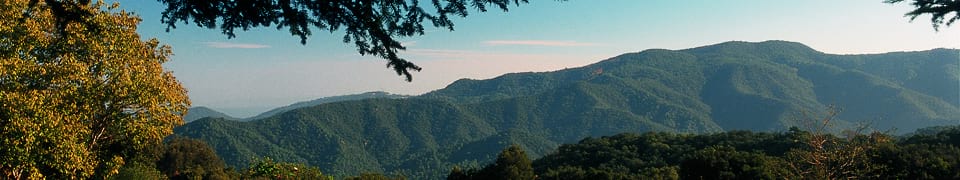 Parc de Montnegre