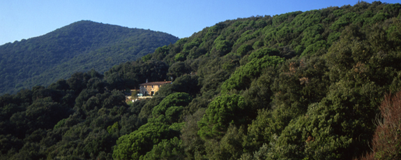 Parc de Montnegre