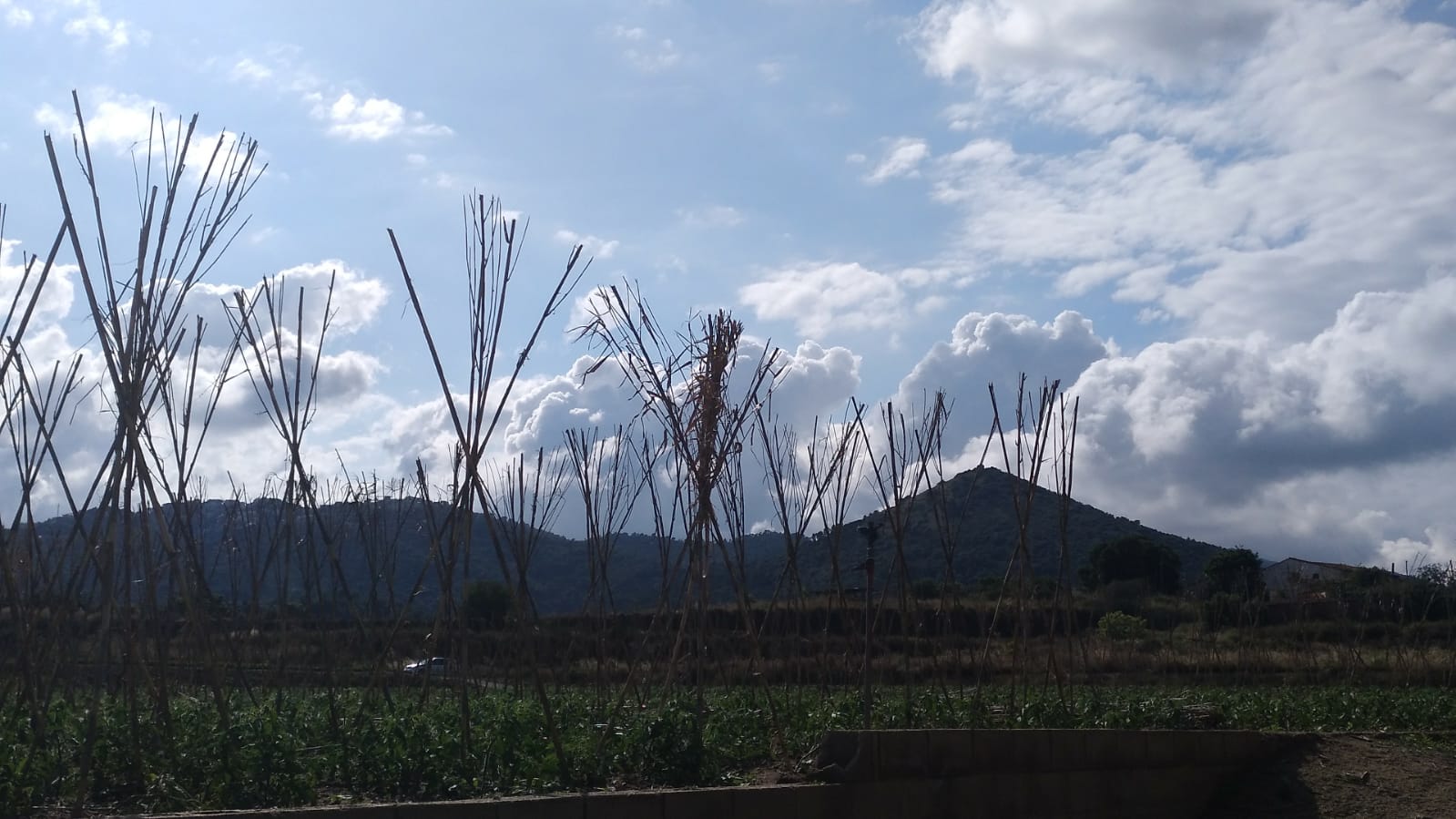 Restes de núvols al Montapalu