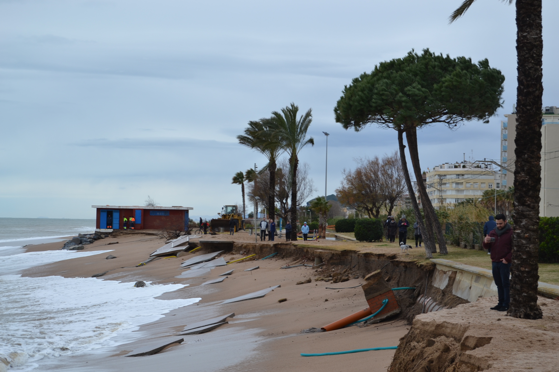 Passeig temporal  gener 2017