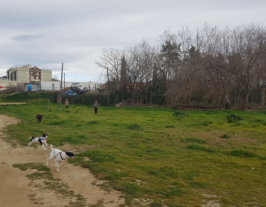 Terreny de poblenou definitiu